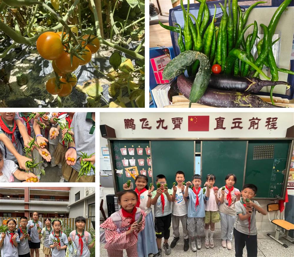 图片3.jpg